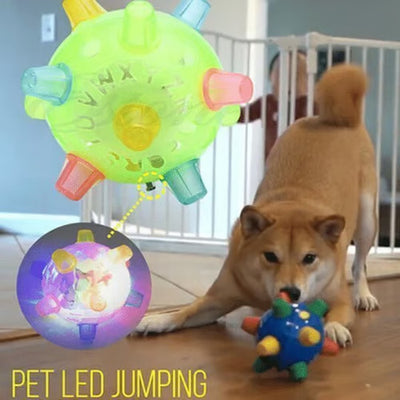 💥Hot Sale💥BUY 1 GET 1 FREE🔥Jumping activation ball for dogs and cats